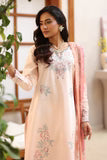Rang Rasiya Raaya Rameen Lawn – AURORA