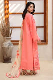 Rang Rasiya Raaya Rameen Lawn – AVADNE