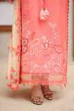 Rang Rasiya Raaya Rameen Lawn – AVADNE