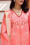Rang Rasiya Raaya Rameen Lawn – AVADNE