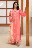 Rang Rasiya Raaya Rameen Lawn – AVADNE